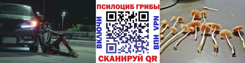Псилоцибиновые грибы мухоморы  Купить закладки  Лесосибирск 