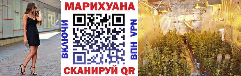 Купить где  Лесосибирск  Каннабис Amnesia 
